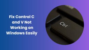 Control C and V Not Working Easy Fix for Windows Users